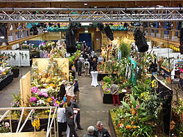 Orchideen-Ausstellung